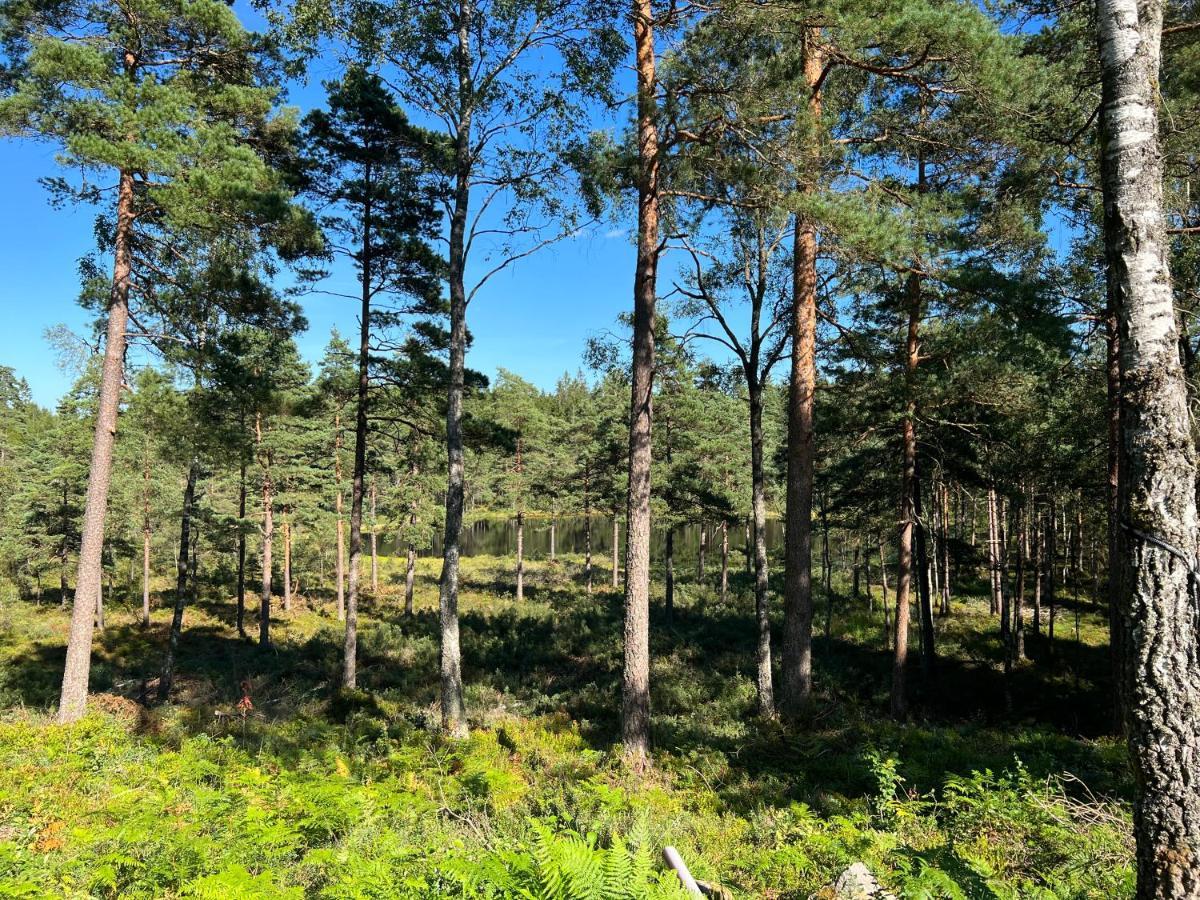 Semesterbostad Asserbostugan